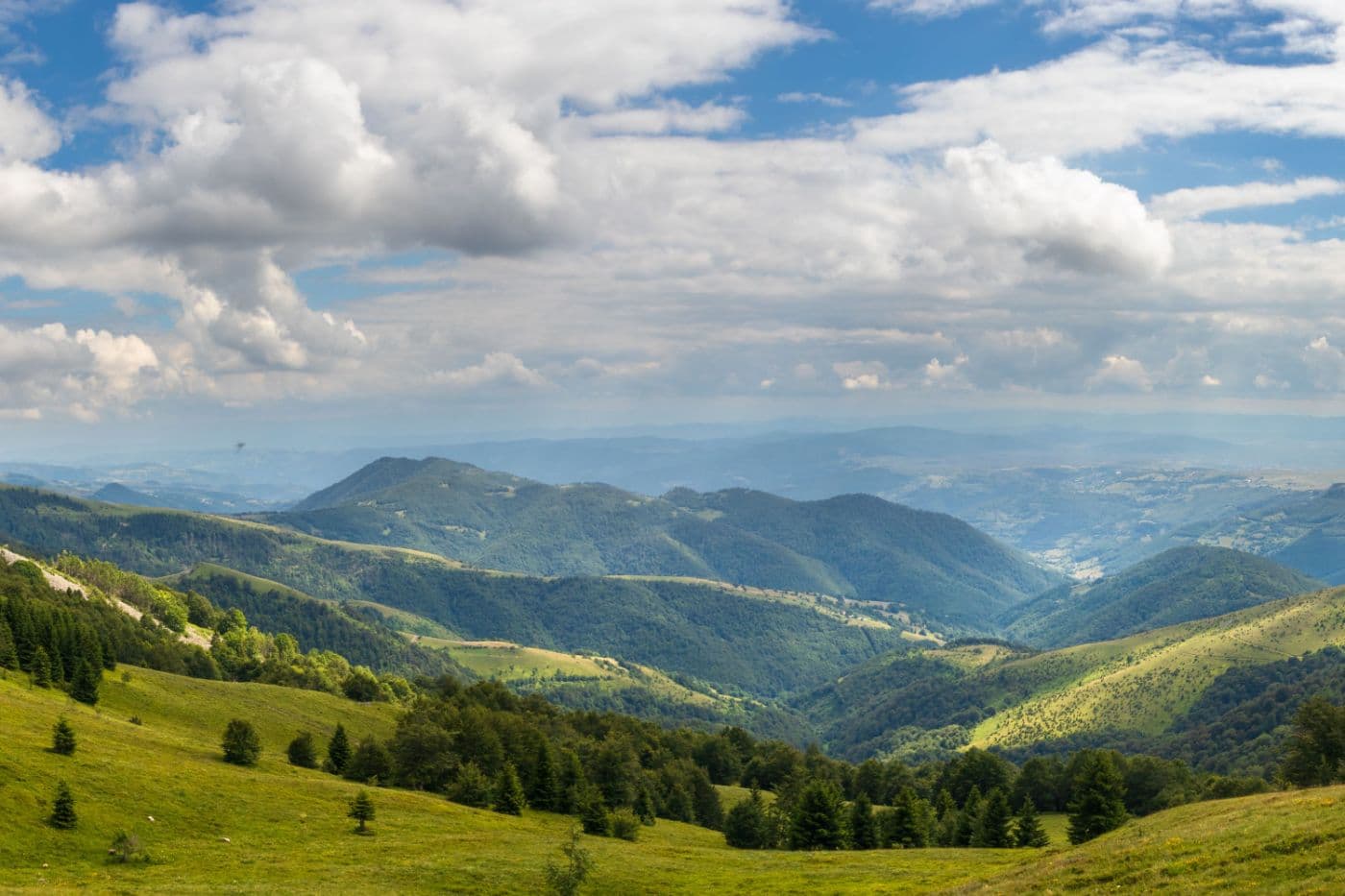 Koliba među borovima